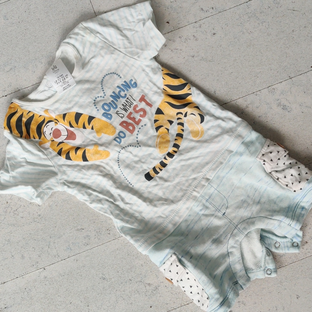 Disney jumper tiger pool